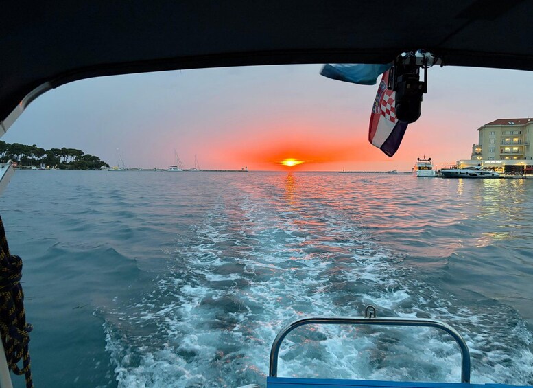 Picture 46 for Activity Dolphin discovery cruise in Porec, sunset, German skipper 3