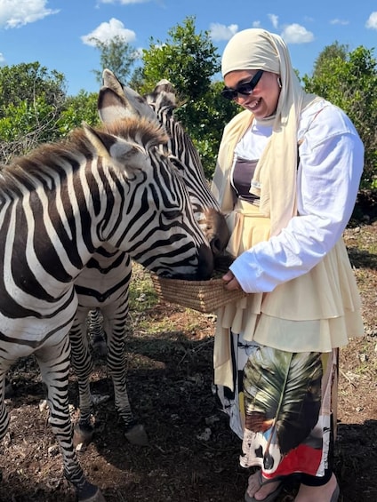 A person feeding a zebra in a natural setting with trees in the background. 5