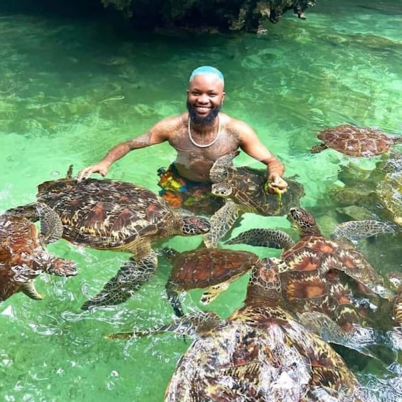 A person surrounded by sea turtles in clear water. 5