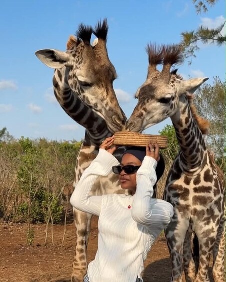 A person with two giraffes, one on each side, in a natural setting with sparse vegetation. 2