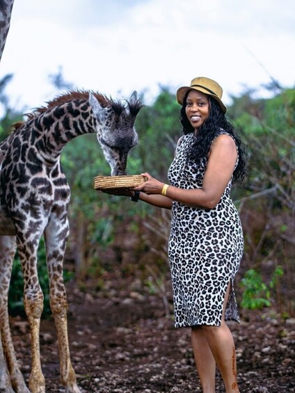 A person in a leopard print dress feeding a giraffe. 2