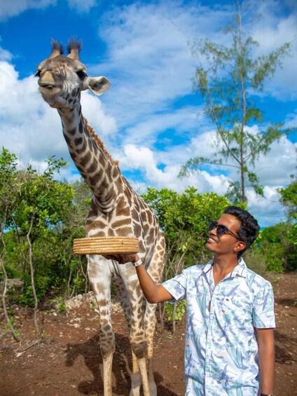 A person holding a basket near a giraffe in a natural setting with trees and a blue sky. 3