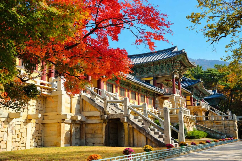Picture 4 for Activity Busan: Gyeongju UNESCO Authentic Full Day Guided Tour 5