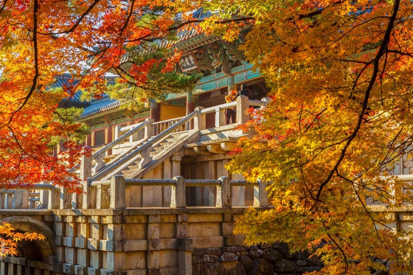 Picture 7 for Activity Busan: Gyeongju UNESCO Authentic Full Day Guided Tour 5