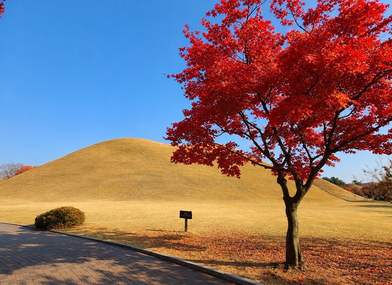 Picture 1 for Activity Busan: Gyeongju UNESCO Authentic Full Day Guided Tour 4