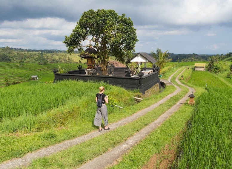 A woman walking on a rural path with a traditional house and lush green fields in the background. 1