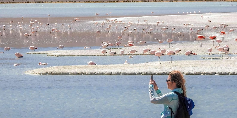 A person taking a photo of flamingos at a salt flat. 3