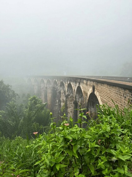 A bridge with multiple arches, surrounded by lush greenery and fog. 2