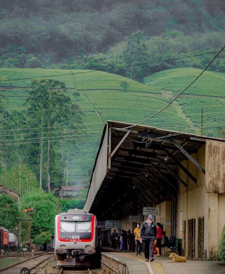 A train at a station with a mountainous backdrop. 3