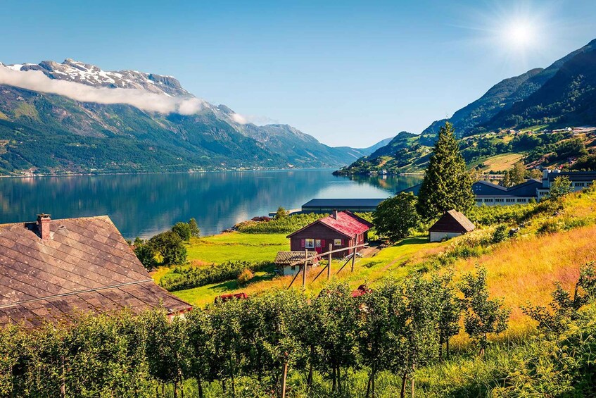 A lake surrounded by mountains, houses, and vineyards. 1