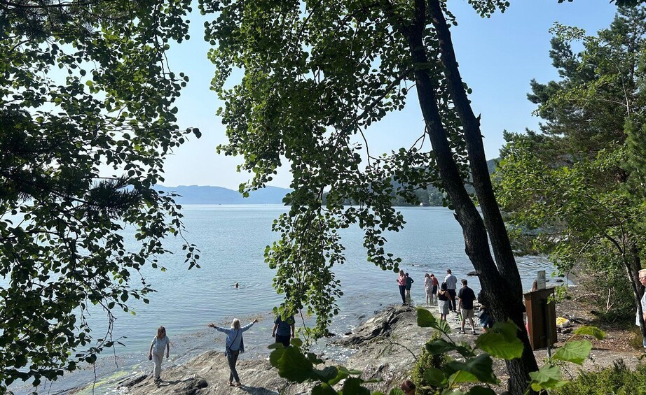Picture 4 for Activity Bergen: Scenic Hardangerfjord w/Waterfalls & Lunch 2