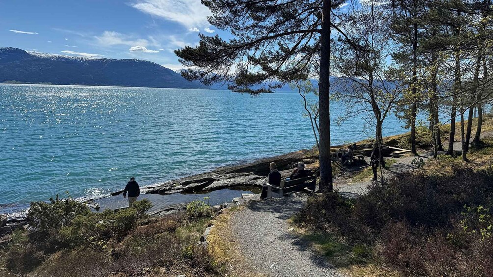 Picture 6 for Activity Bergen: Scenic Hardangerfjord w/Waterfalls & Lunch 3