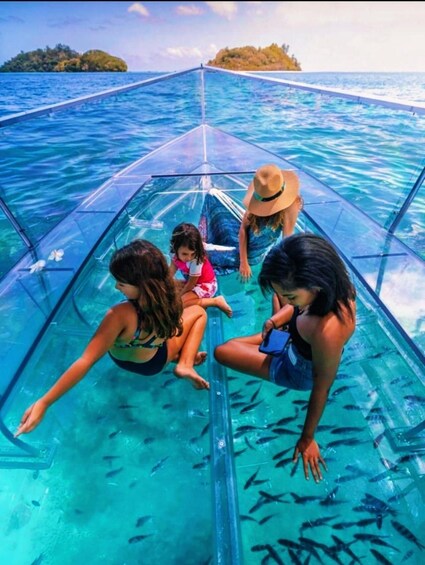 A glass-bottom boat with people and a child observing fish swimming below. 1
