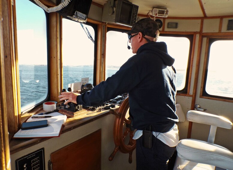 Picture 5 for Activity Destin: Sunset Dolphin Cruise aboard the Southern Star 2