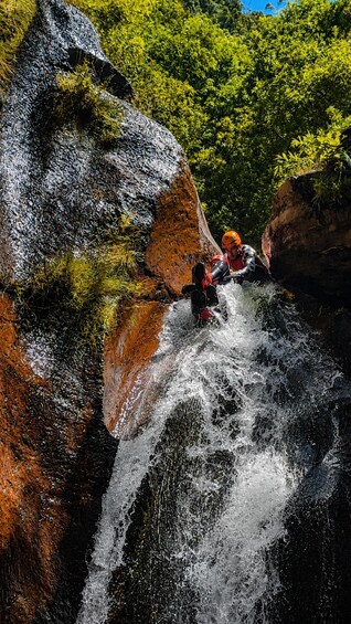 A person kayaking down a waterfall surrounded by lush greenery. 5