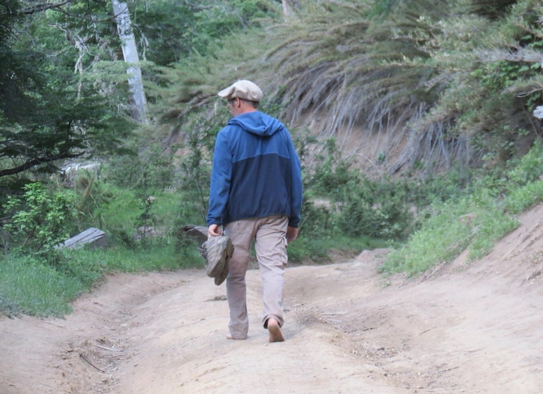 A person walking on a dirt path surrounded by greenery. 5