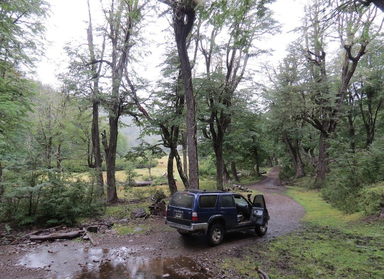 A forested area with a dirt path, a blue SUV parked on the side, and a puddle of water. 3