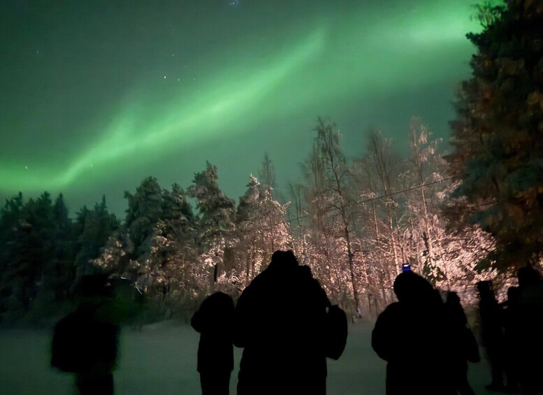 Picture 1 for Activity Northern Lights with BBQ and Drinks 2