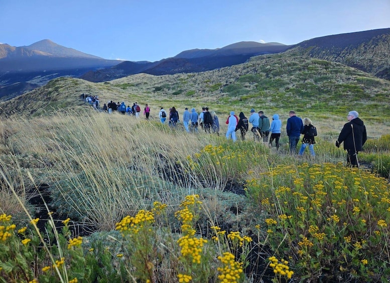 A group of people hiking on a grassy hillside with mountains in the background. 4