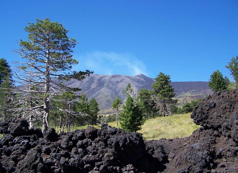 A volcanic landscape with trees and mountains in the background. 3