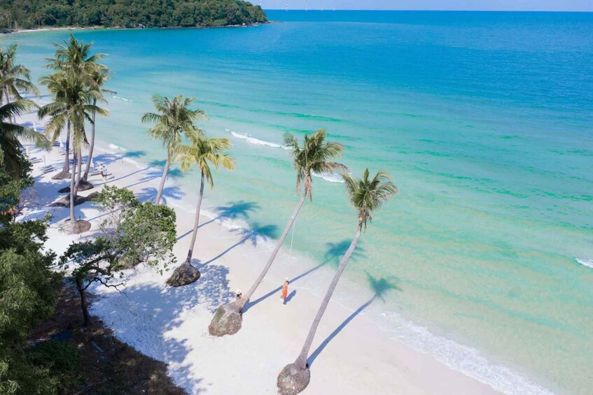 A beach with palm trees and clear turquoise water. 5