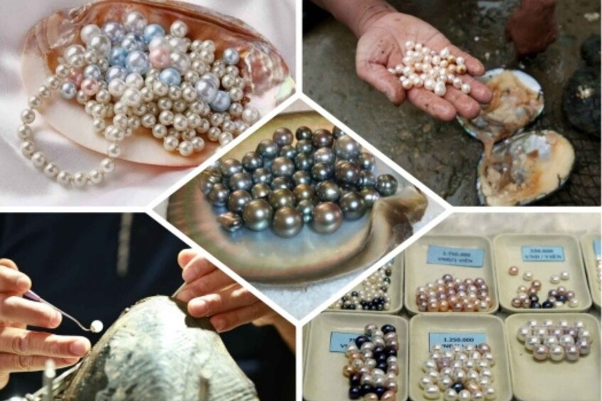 A collection of pearls in various stages of handling and sorting. 1