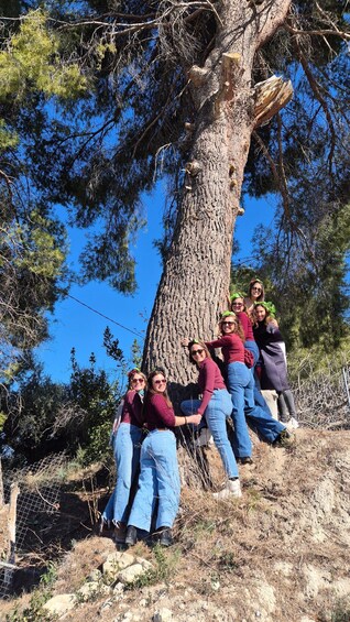 A group of people posing around a large tree with a clear blue sky in the background. 4