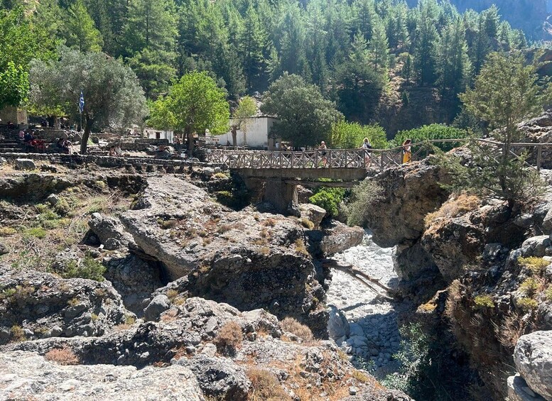 A rocky landscape with a wooden bridge, trees, and a building in the background. 2