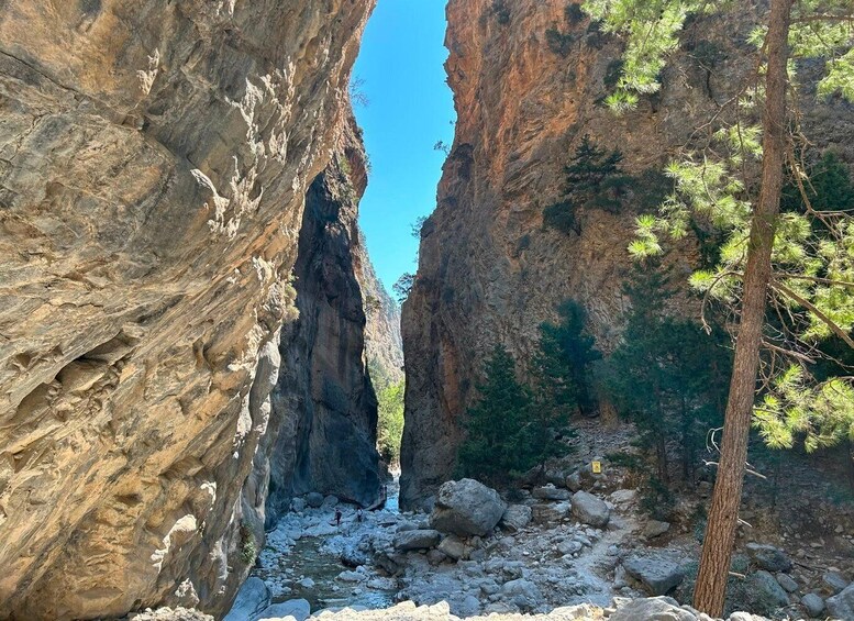A canyon with a narrow stream, rocky terrain, and pine trees. 3