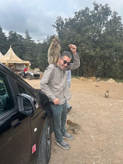 A person standing next to a vehicle with a monkey on their shoulder and another monkey on the ground. 4