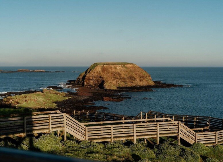 Picture 8 for Activity Phillip Island: Golden Hour Penguin Express Tour 3