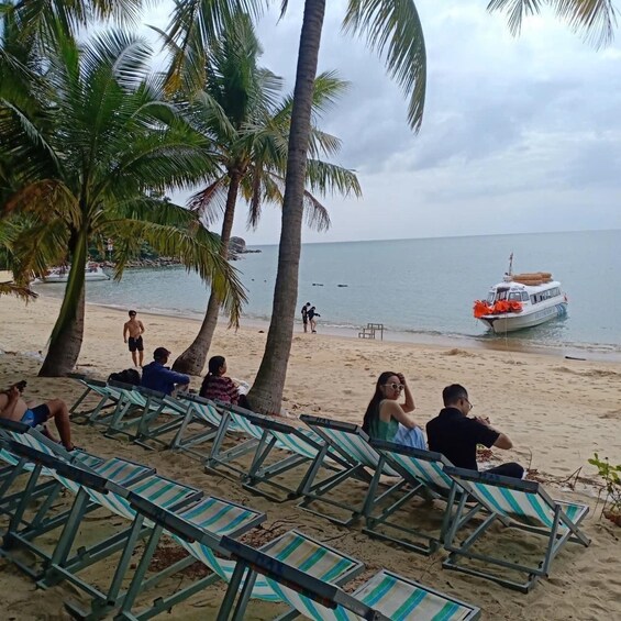 A beach with lounge chairs, palm trees, and a boat in the water. 4