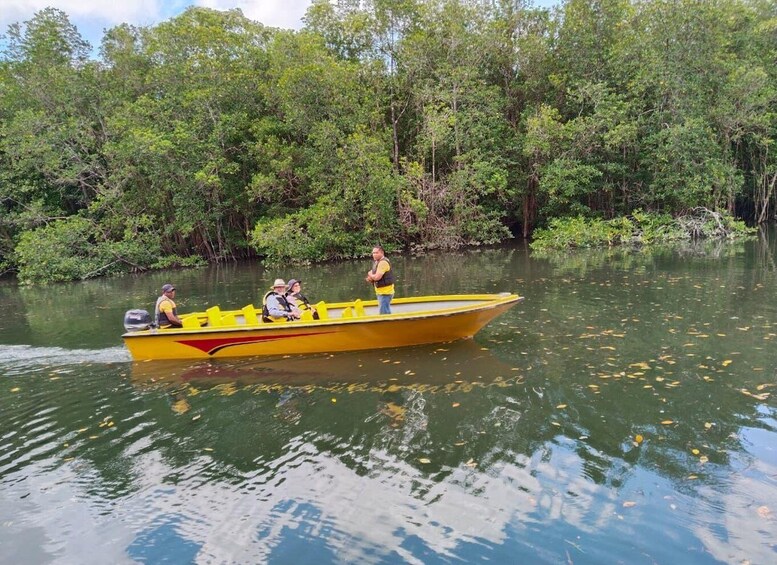 Picture 11 for Activity Bintan: Full-Day Private Tour 2