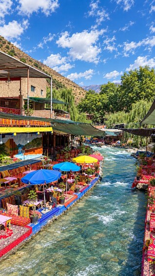 Picture 33 for Activity Marrakech: Ourika Valley Day Tour Lunch Waterfall Guide walk 4