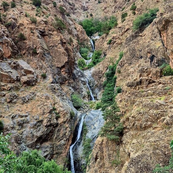 Picture 29 for Activity Marrakech: Ourika Valley Day Tour Lunch Waterfall Guide walk 2
