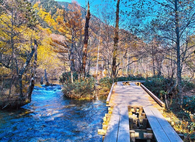 Picture 1 for Activity Kamikochi & Azumino Highlights: Private Local Tour 4