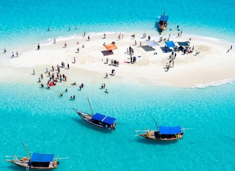 Safari Blue Dhow Cruise,Sandbank, Snorkeling &Seafood Lunch⭐ 1