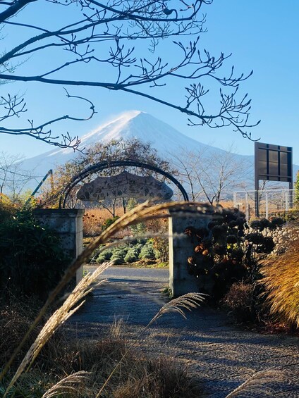 A pathway leading to a mountain with a shrine in the background. 2