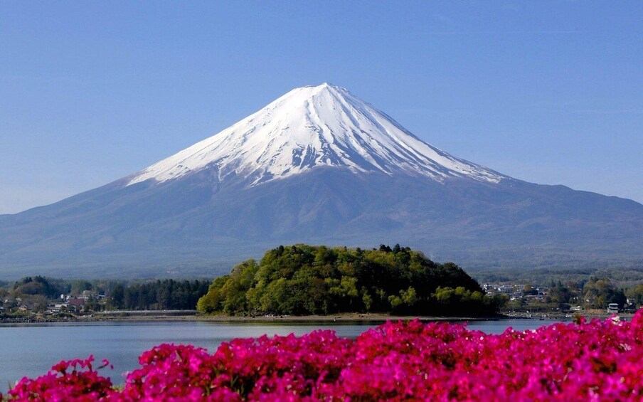 A snow-capped mountain, a lake, and a cluster of pink flowers in the foreground. 5