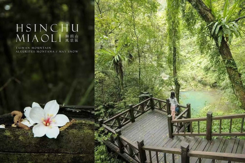 From Taipei or Hsinchu:Mirror of Water, a Book of Mountains 1