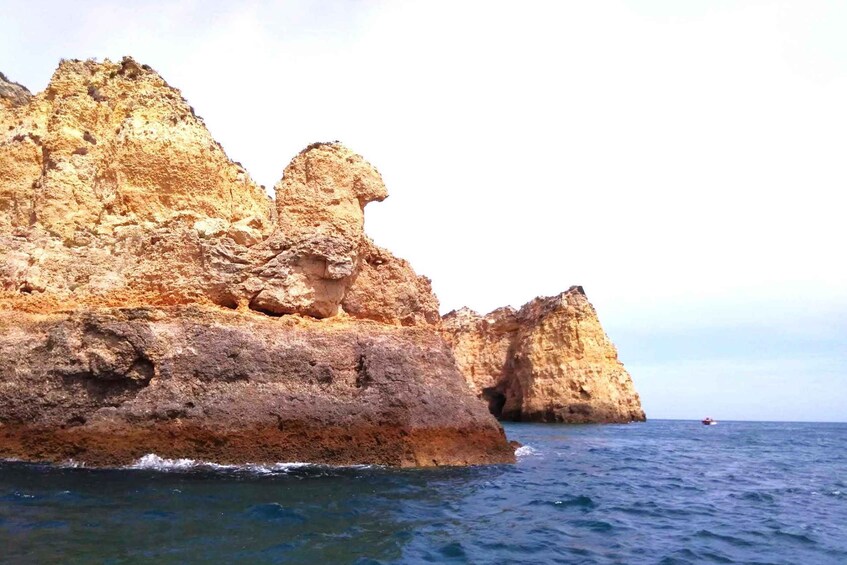 Picture 16 for Activity Lagos: Privat Trip up to 11 Pax to Grottos Ponta da Piedade 3