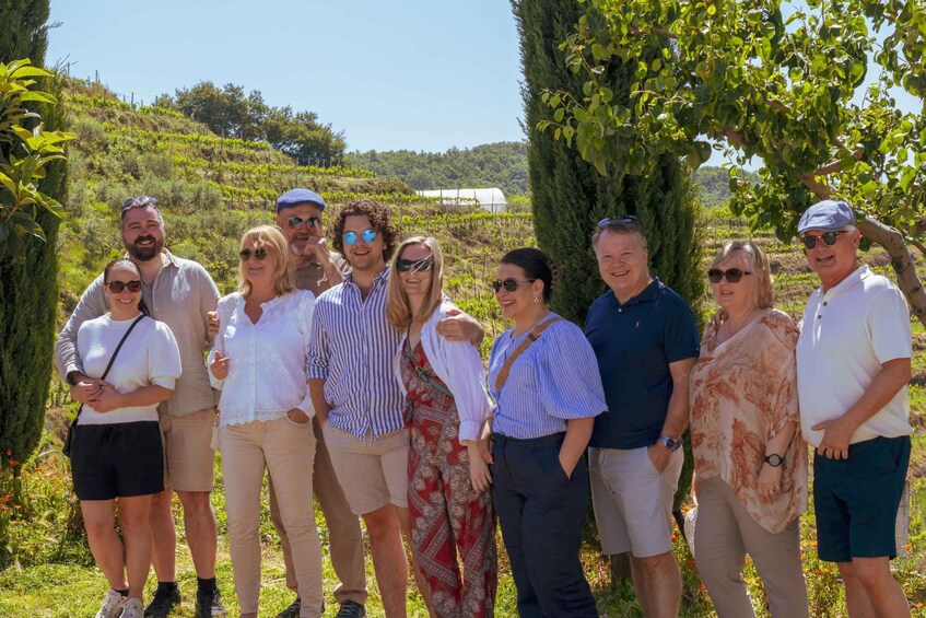 A group of people standing outdoors in a vineyard with rows of grapevines and a clear sky. 4