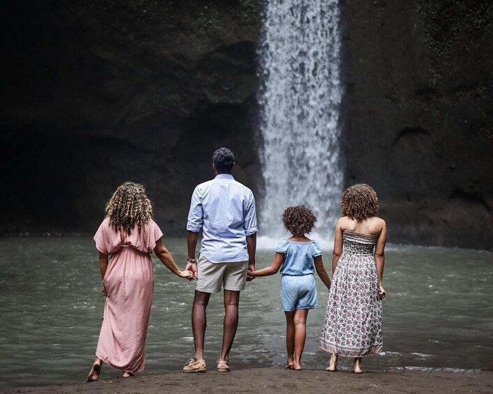 Una familia de cuatro de la mano frente a una cascada. 5