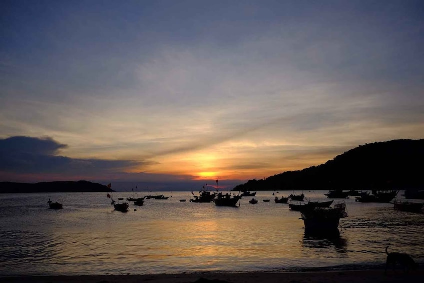 Picture 10 for Activity Explore and snorkel at Cham Islands by speedboat: Hoi An/DN 2