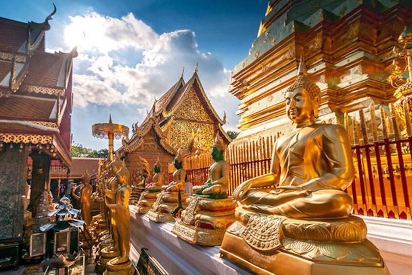Picture 2 for Activity Half day Chiang Mai City tour 3