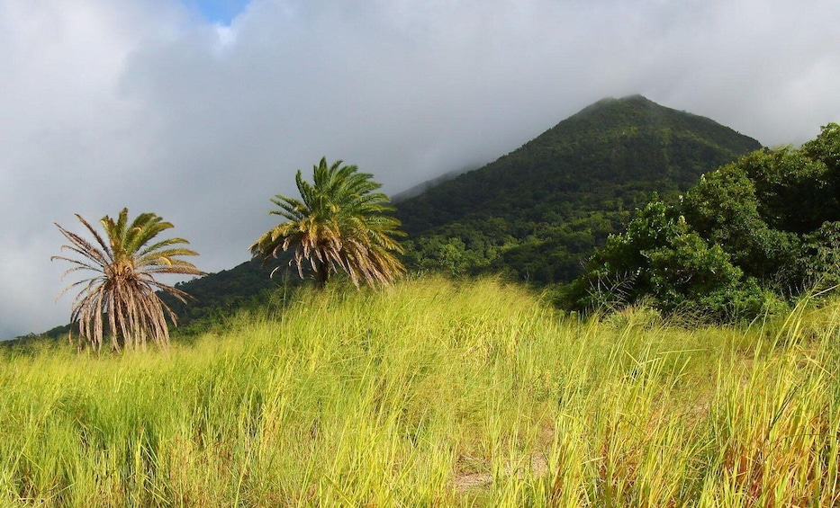Picture 4 for Activity St. Kitts: Private Island Tour with Brimstone Hill Fortress 2