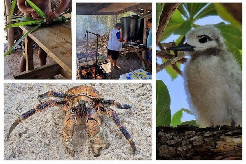 Una persona cocinando al aire libre, un cangrejo grande en el suelo y un pájaro posado en una rama. 2