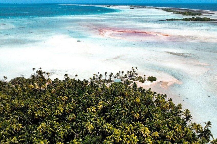 Ein tropischer Strand mit weißem Sand, klarem, blauem Wasser und üppigen Palmen. 2