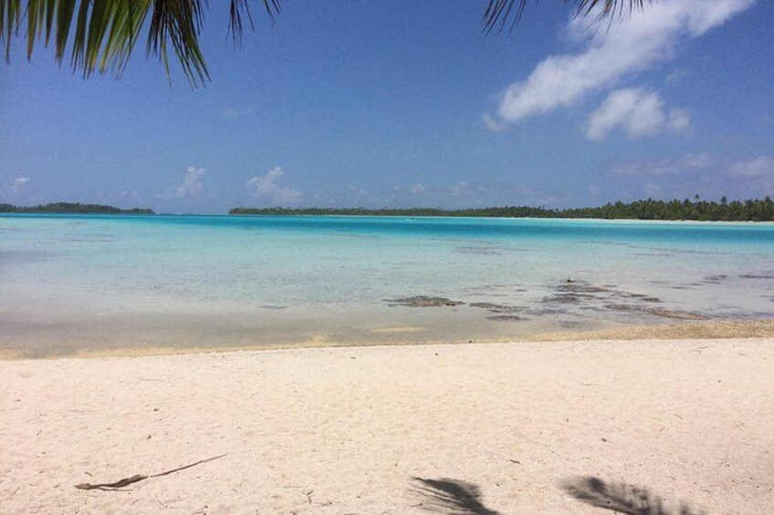A beach with clear turquoise water, white sand, and a palm tree. 5