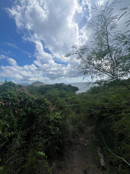 Picture 14 for Activity Hike St. Kitts: Sea Glass Discovery at Volcanic Beach 2